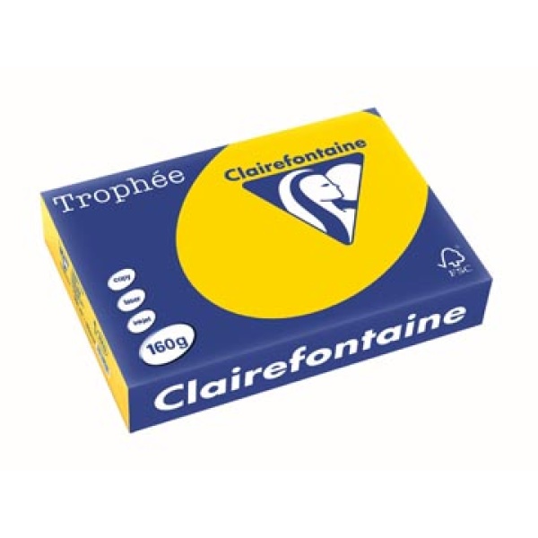 1103c 1103 clairefontaine clairfontaine papier printpapier goudgeel a4 160 gekleurd g trophée 250 pastel vel 129682 288687gd 368816 m7-500221 13cla1103 1942604 322365 531495 890182 cs-890182 3329684110308 3329680110302 160 g geel voor laser voor inkjet voor kopieertoestel ecologisch fsc mix{{fsc_m}}