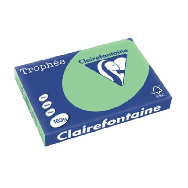 1119c 1119 clairefontaine clairfontaine papier printpapier a3 natuurgroen 160 gekleurd g trophée 250 pastel vel 13cla1119 288655dn m7-500267 312194 6875137 3329684111909 3329680111903 160 g groen voor laser voor inkjet voor kopieertoestel ecologisch fsc mix{{fsc_m}}